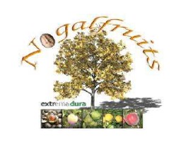 Nogalfruits